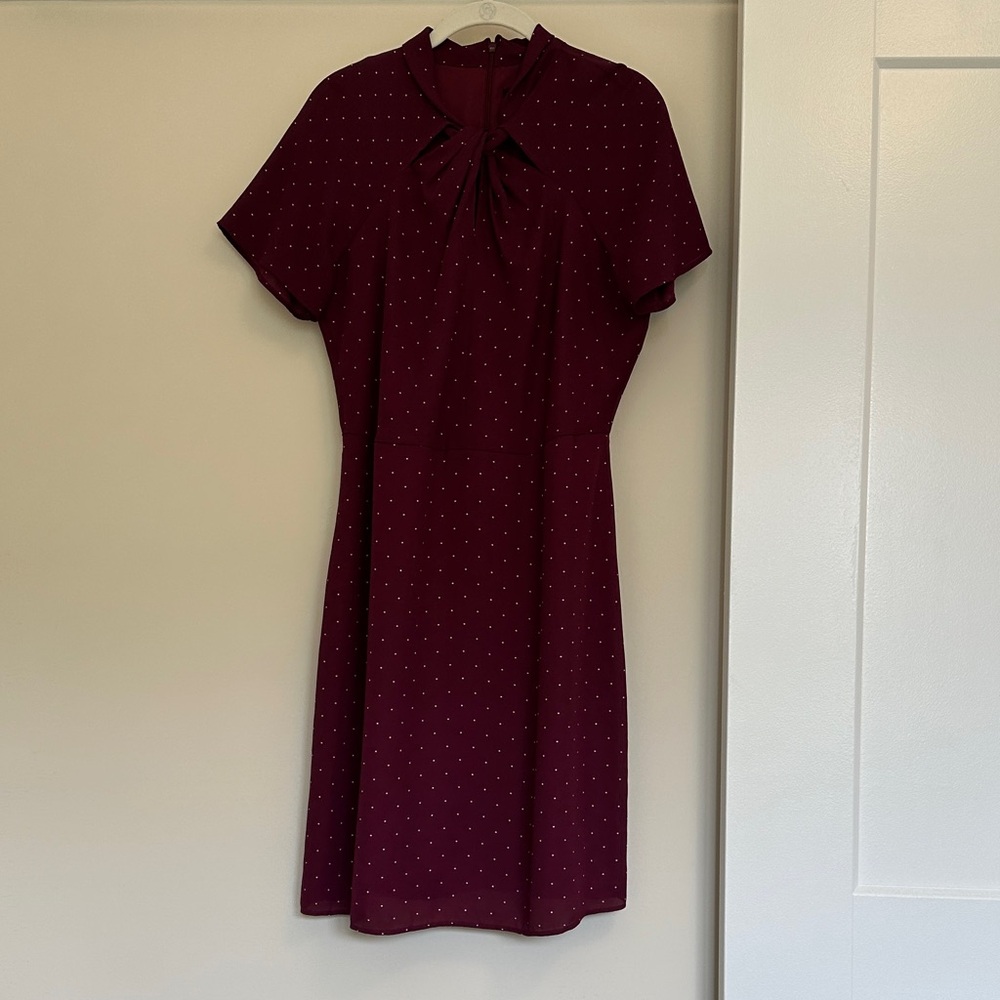 Elegant Burgundy Polka Dot Dress